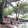 Macleay Island