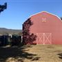 Warwick Region - Mountview Wines