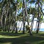 Palm Cove - Beach / Coastline