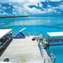 Great Barrier Reef - Lady Musgrave Island - Wallaginji