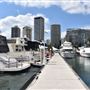 Southport Yacht Club Marina