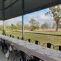 Sheep Farm & Dairy - Towri Sheep Cheeses