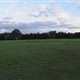 Coombabah Lakelands Conservation Area - Open Field & Forest