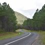 Beerburrum Woodford Road