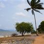 Cardwell - Coastline & Jetty