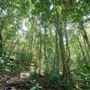 Hallorans Hill Conservation Park