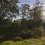 Leslie Park