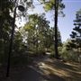Spring Lake Park