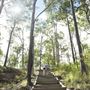 White Rock - Spring Mountain Conservation Estate