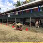Cairns Showgrounds