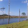 Meandering Creek & Lush Wetlands - Hedlow Creek