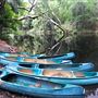 Upper Stoney Creek - Byfield National Park