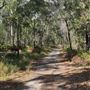 Brushtail Trail - Karawatha Forest Park