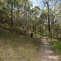 Toohey Forest Park (incl. Mount Gravatt Outlook Reserve) - Overview