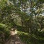Whites Hill Reserve - Overview