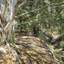 North Ipswich Wetlands Park