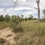 Willowbank MX