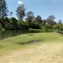 Parkland on the River - Colleges Crossing Recreation Reserve