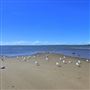 Deception Bay Beach