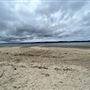 Cabbage Tree Point