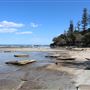 Shelly Beach