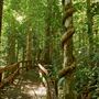 Lake Tinaroo - Danbulla National Park