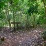 Peterson Creek Wildlife & Botanical Walking Track
