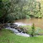 Peterson Creek Wildlife & Botanical Walking Track