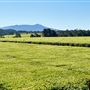 Tablelands Farming