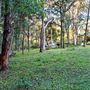 Hayes Property