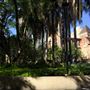 Cathedral Square - Brisbane