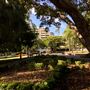 Centenary Place