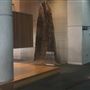Queensland Museum - Interior