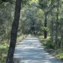 Epapah Creek - Karl's Pier track