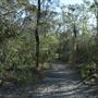 Epapah Creek - Karl's Pier track