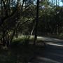 Epapah Creek - Karl's Pier track