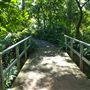 Mount Coot-tha Botanic Gardens - Australian Rainforest Track