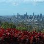 Mt Coot-tha Lookout