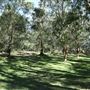 Cornubia Forest