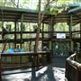 Daisy Hill Koala Centre