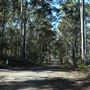 Daisy Hill Conservation Park