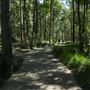 Daisy Hill Conservation Park