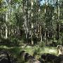Daisy Hill Conservation Park
