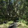 Daisy Hill Conservation Park