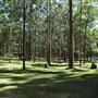 Daisy Hill Conservation Park