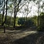 Hemmant Quarry Reserve