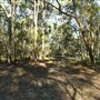 Hemmant Quarry Reserve
