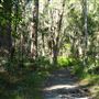 Venman Bushland