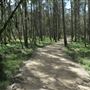 Boondall Wetlands
