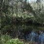 Boondall Wetlands